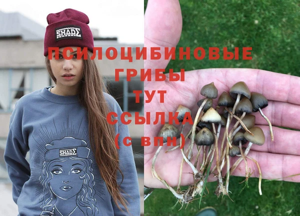 не бодяженный Магадан