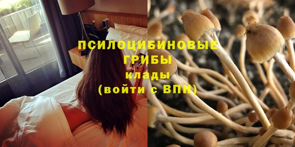 прущие крисы Магас